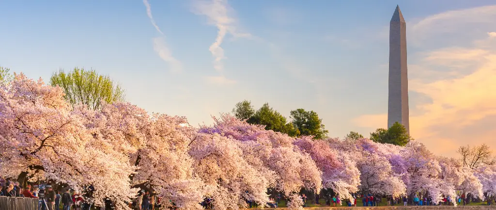 Imagen de la ciudad seleccionada: Washington D.C.